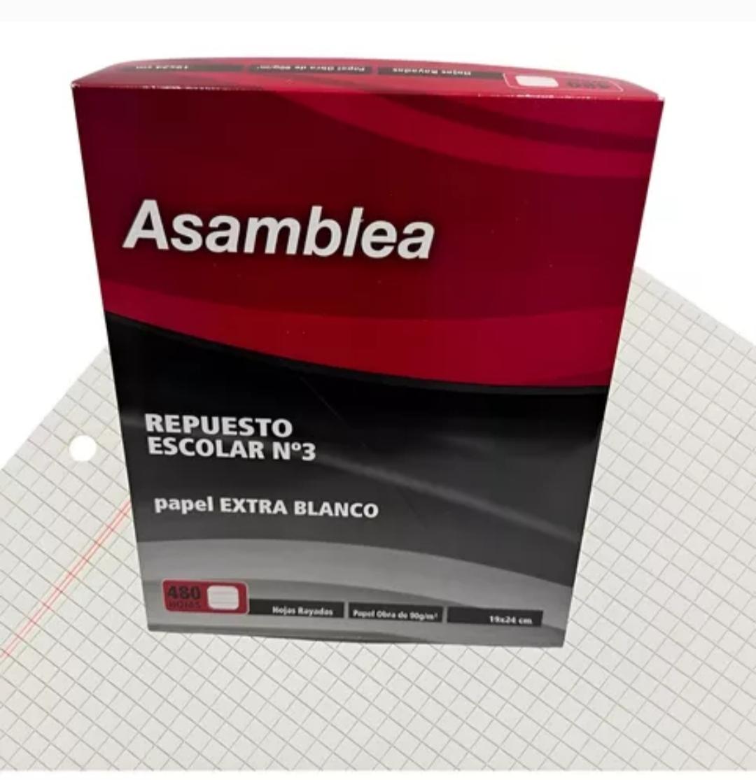 RENA.REPUESTO ASAMBLEA X48H. 90GR. CUADRICULADO NLREP0006C (132488