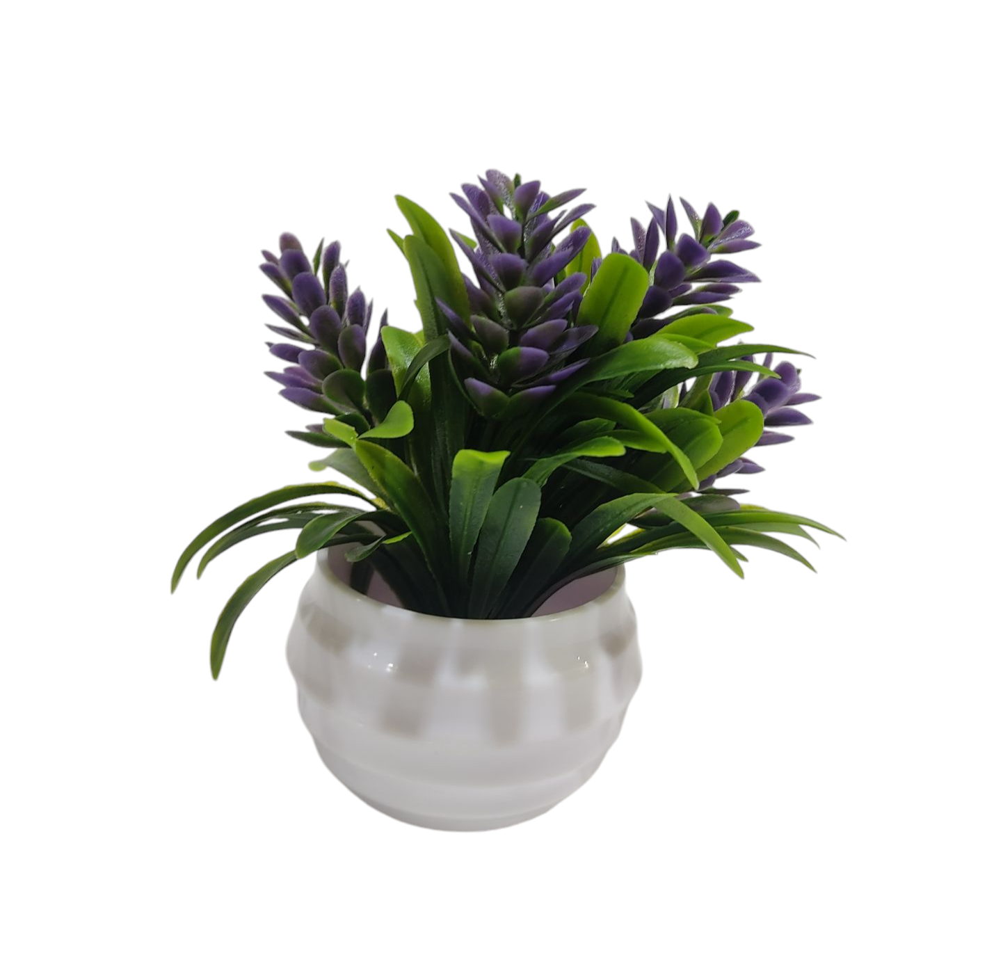 KK MACETA MINI ARBOLITO NS371577        4CM X 9CM PLASTICO